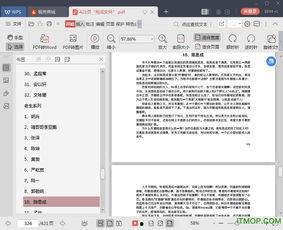 421页pdf娱乐圈吃瓜文件电子版,421页吃瓜文件深度解析