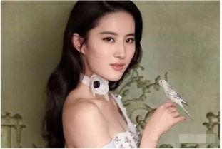 娱乐吃瓜网名女生名字